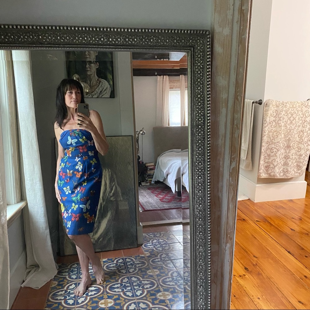 Anthropologie Nathalie lete Paris dress - Picture 15 of 15